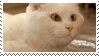footer2