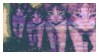 footer3
