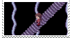 footer17